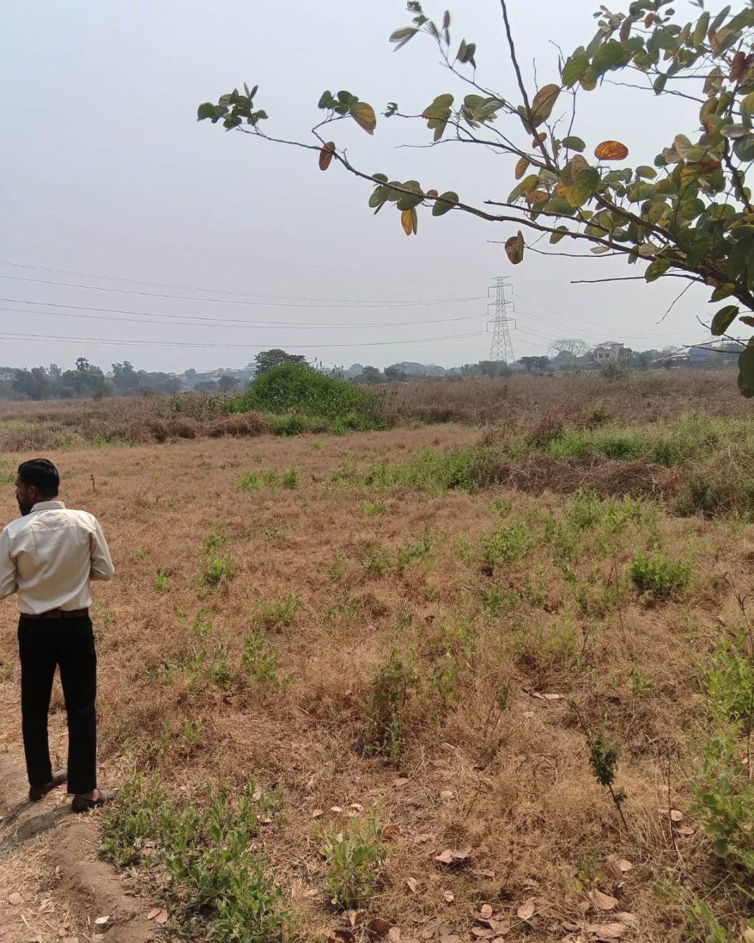 Site Visit – Investment Plot